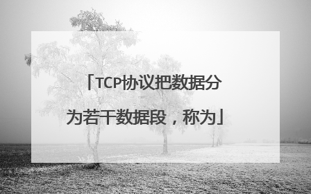 TCP协议把数据分为若干数据段，称为