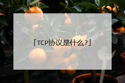 TCP协议是什么?