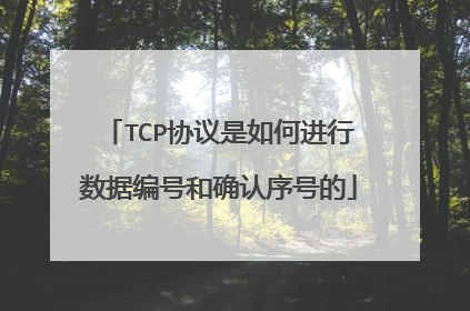 TCP协议是如何进行数据编号和确认序号的