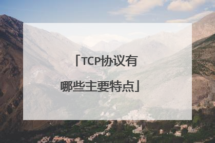 TCP协议有哪些主要特点
