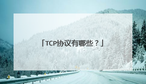 TCP协议有哪些？