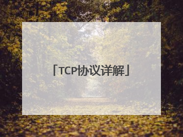 TCP协议详解