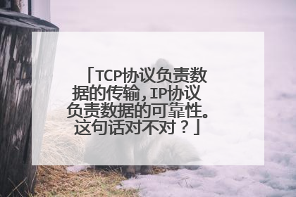 TCP协议负责数据的传输,IP协议负责数据的可靠性。这句话对不对？