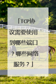 TCP协议需要使用到哪些端口?哪些网络服务?