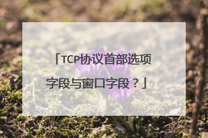 TCP协议首部选项字段与窗口字段？