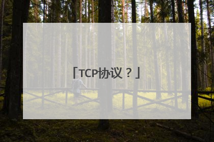 TCP协议？