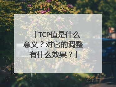 TCP值是什么意义?对它的调整有什么效果?