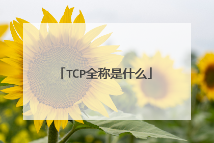 TCP全称是什么