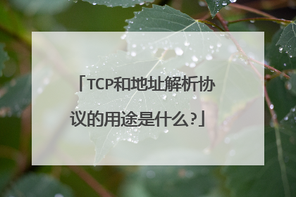 TCP和地址解析协议的用途是什么?