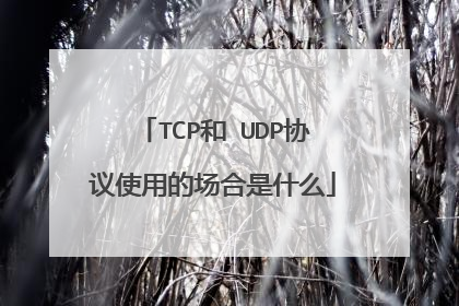 TCP和 UDP协议使用的场合是什么