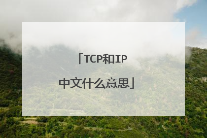 TCP和IP中文什么意思
