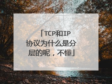 TCP和IP协议为什么是分层的呢，不懂