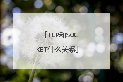 TCP和SOCKET什么关系