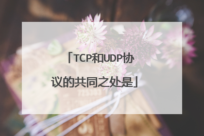 TCP和UDP协议的共同之处是