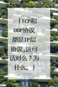 TCP和UDP协议都是IP层协议,这句话对么？为什么。