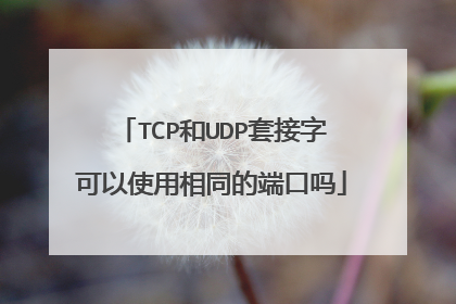 TCP和UDP套接字可以使用相同的端口吗
