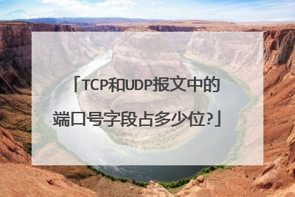 TCP和UDP报文中的端口号字段占多少位?