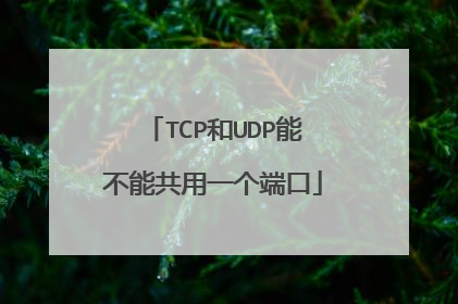 TCP和UDP能不能共用一个端口