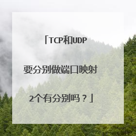 TCP和UDP要分别做端口映射2个有分别吗？