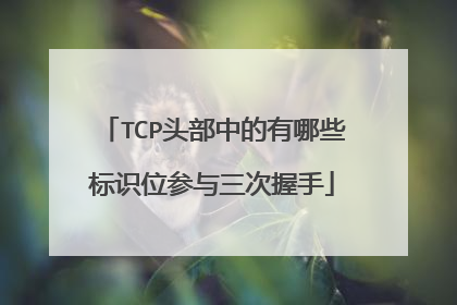 TCP头部中的有哪些标识位参与三次握手
