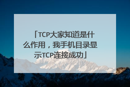 TCP大家知道是什么作用,我手机目录显示TCP连接成功