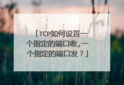 TCP如何设置一个指定的端口收,一个指定的端口发？