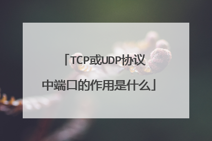 TCP或UDP协议中端口的作用是什么