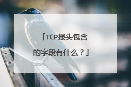 TCP报头包含的字段有什么？