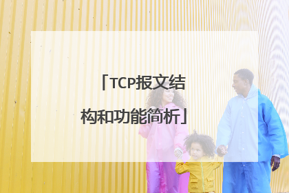 TCP报文结构和功能简析