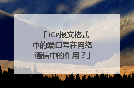 TCP报文格式中的端口号在网络通信中的作用？