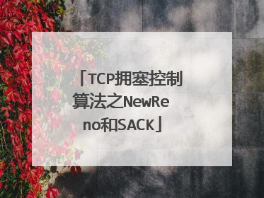 TCP拥塞控制算法之NewReno和SACK