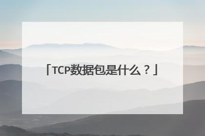 TCP数据包是什么？