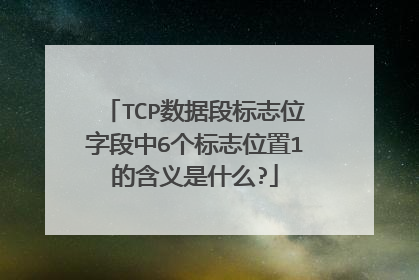 TCP数据段标志位字段中6个标志位置1的含义是什么?