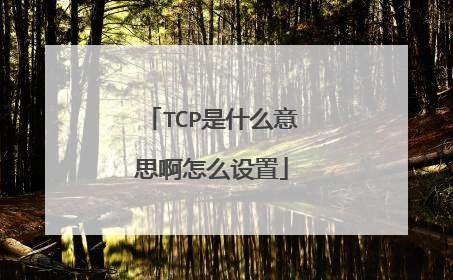 TCP是什么意思啊怎么设置