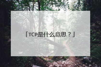 TCP是什么意思?