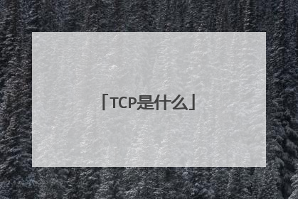 TCP是什么