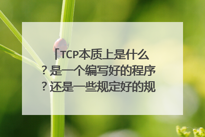 TCP本质上是什么？是一个编写好的程序？还是一些规定好的规则顺序法则？它存在于网络的哪里？