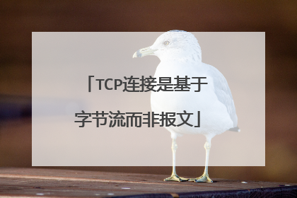 TCP连接是基于字节流而非报文