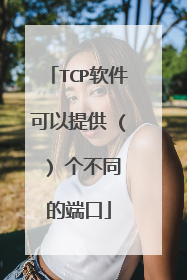 TCP软件可以提供 ( ) 个不同的端口