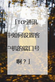 TCP通讯中如何设置客户机的端口号啊？