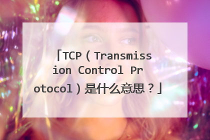 TCP(Transmission Control Protocol)是什么意思?
