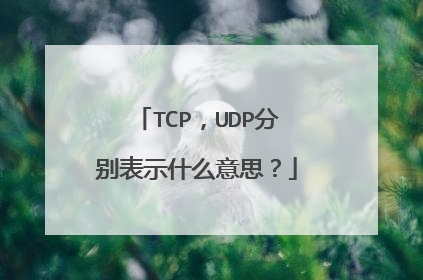 TCP，UDP分别表示什么意思？