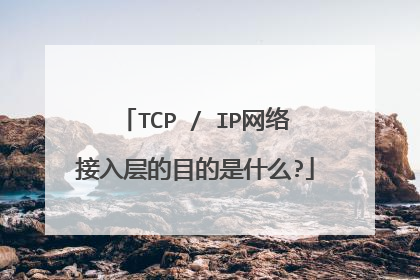 TCP / IP网络接入层的目的是什么?
