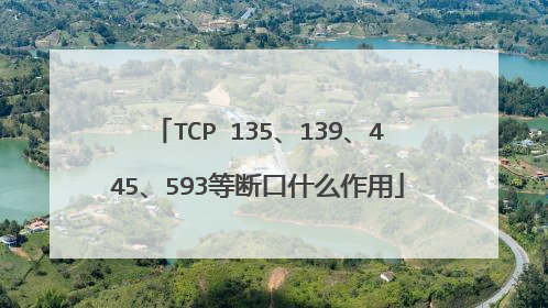 TCP 135、139、445、593等断口什么作用