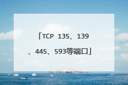 TCP 135、139、445、593等端口