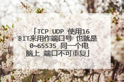 TCP UDP 使用16BIT来用作端口号 也就是 0~65535 同一个电脑上 端口不可重复
