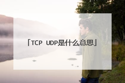TCP UDP是什么意思