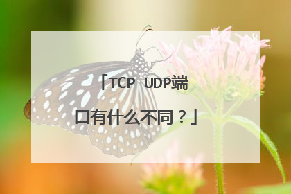 TCP UDP端口有什么不同？