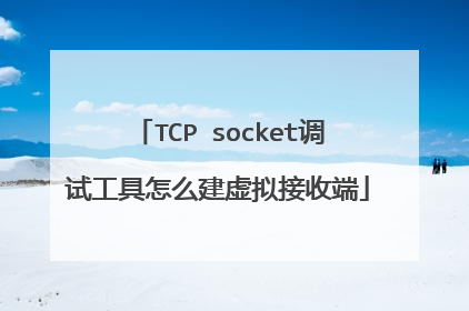 TCP socket调试工具怎么建虚拟接收端
