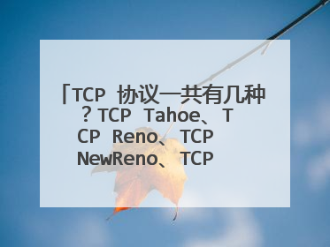 TCP 协议一共有几种？TCP Tahoe、TCP Reno、TCP NewReno、TCP Sack和HSTCP,XCP,VCP,FAST TCP有什么不同？
